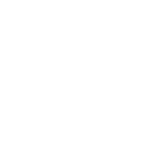 County Seal LACMA